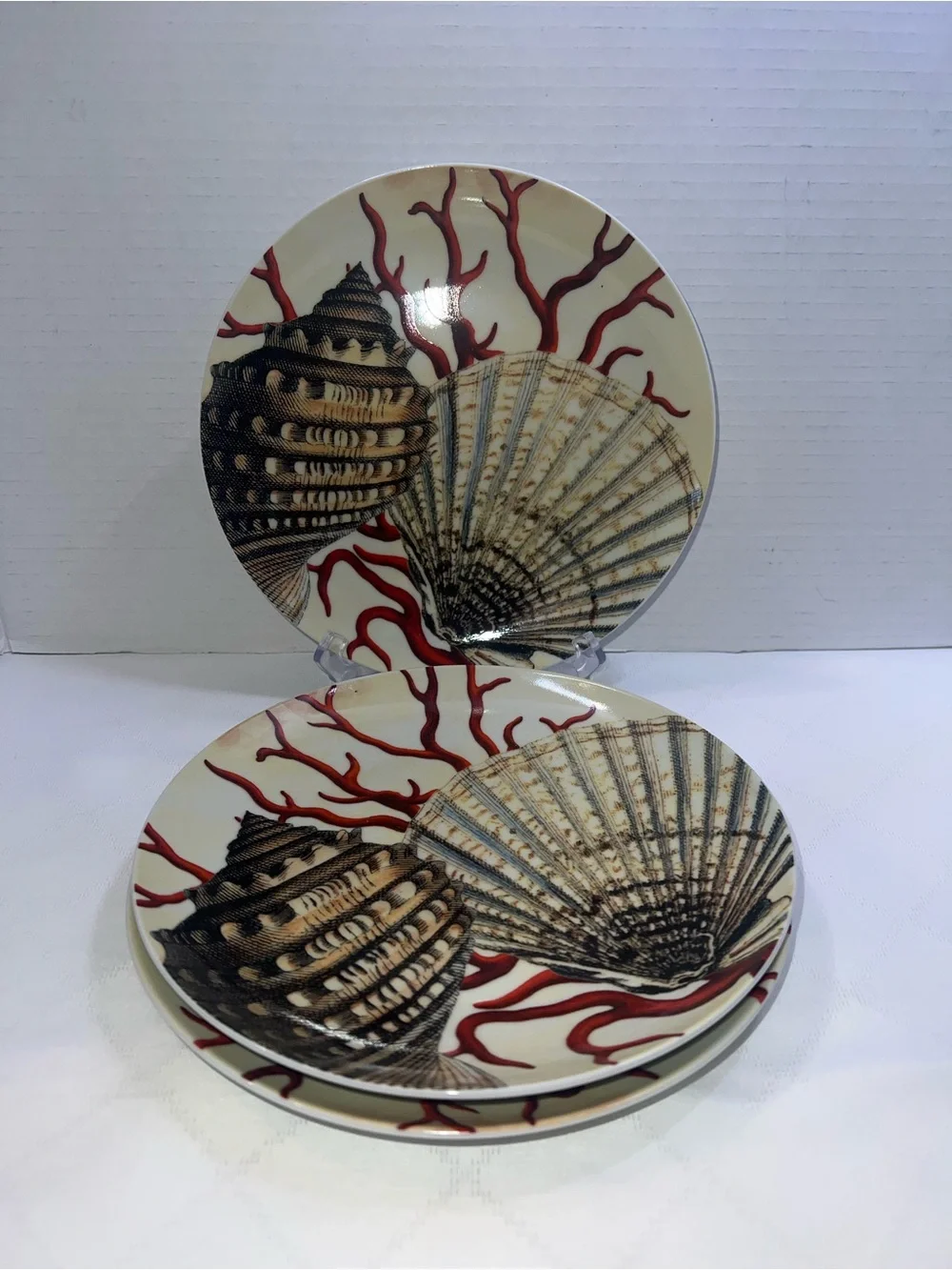 🔥🔥🔥 Pottery Barn Coastal Curiosity Salad/Dessert Plates Red Coral Seashells Set